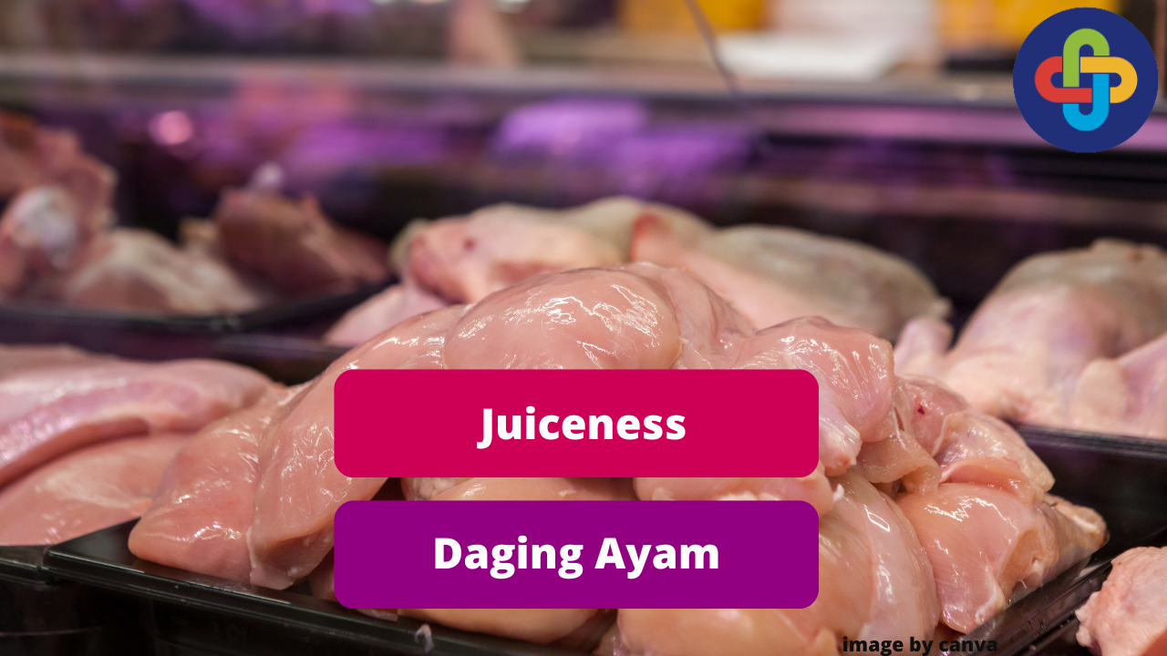 Ketahui Faktor Juiceness Daging Ayam